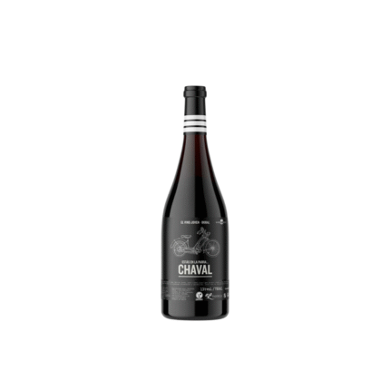 Chaval Red Bobal 75cl 13% ღვინო ჩავალ წითელი ბობალ 0.75 ლ 13% 8437007174700